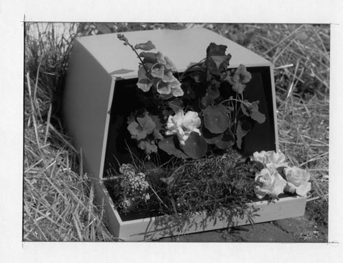 a computer monitor in a field with a bouquet of flowers like a gravestone